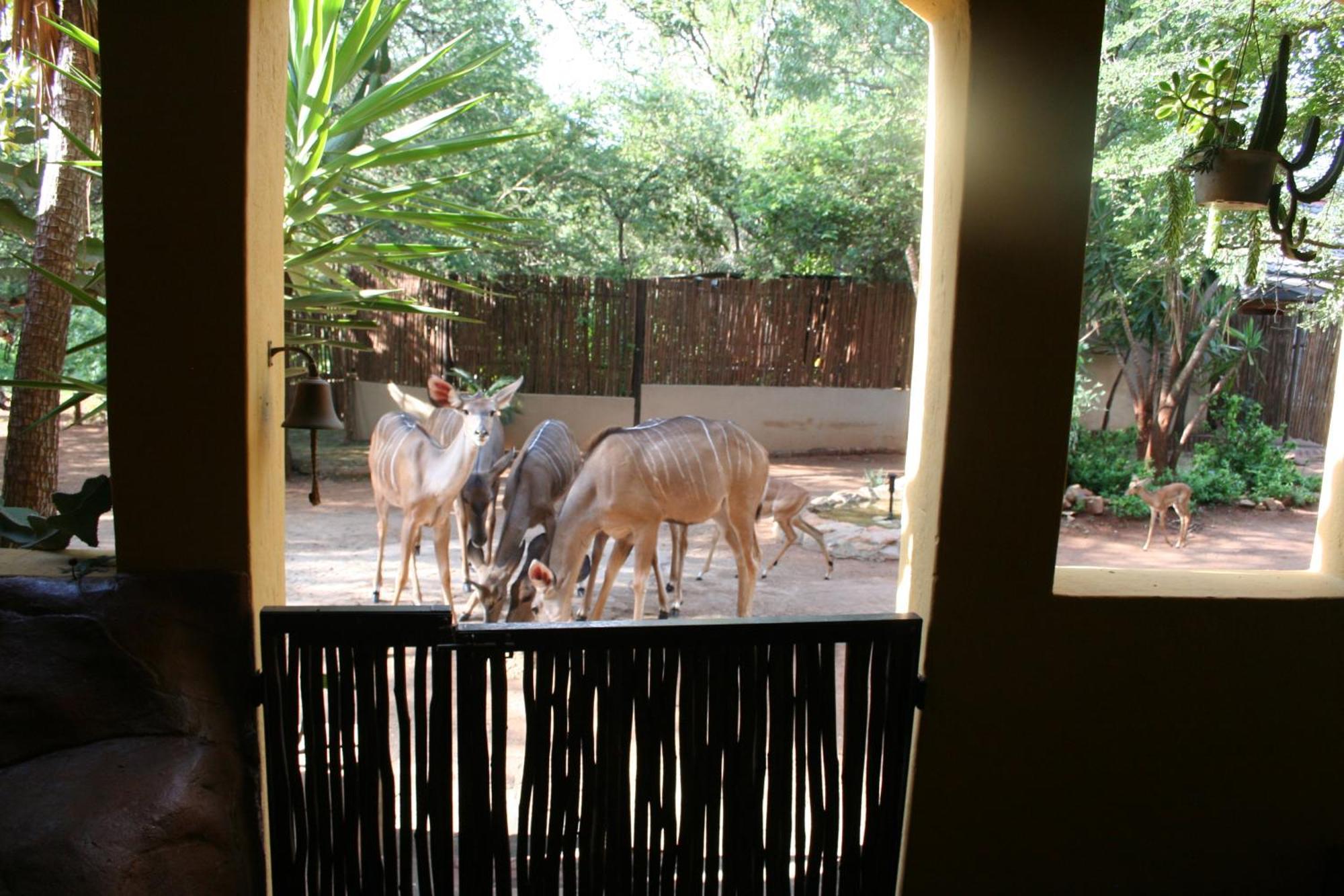 Kiburi Lodge @ Kruger, A Secluded Bushveld Getaway Marloth Park Ngoại thất bức ảnh